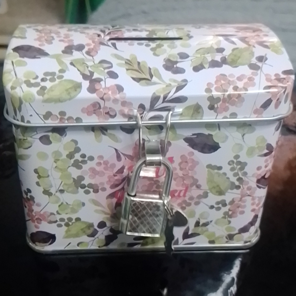 Piggy Bank , NWOT